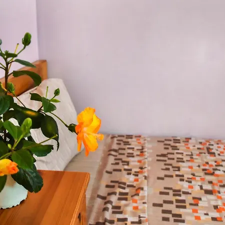 Cosy, Spacious & Sunlit 2br Penthouse - Close To Bugibba Square & Seafront * St. Paul's Bay